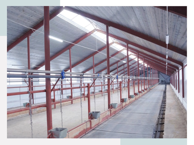 Строительство коровников в Усть-куте от 618 руб.