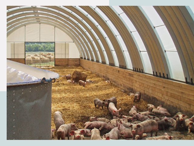 Строительство свинарников в Усть-куте