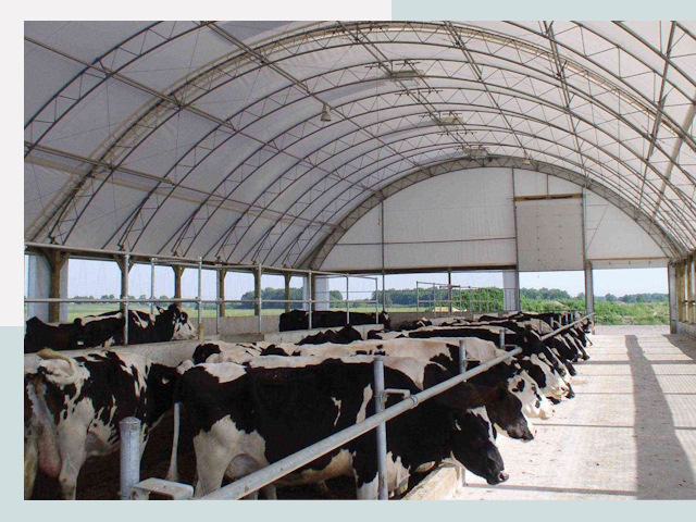 Тентовые коровники в Усть-куте